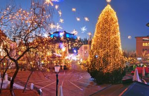 Začenja se praznična Ljubljana: štiritonska lepotica že krasi Prešernov trg